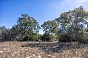 3550 Co Rd 387, Hallettsville, TX 77964 - Photo 14