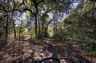 3550 Co Rd 387, Hallettsville, TX 77964 - Photo 6