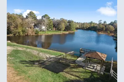 26890 Callie Drive, Hempstead, TX 77445 - Photo 4