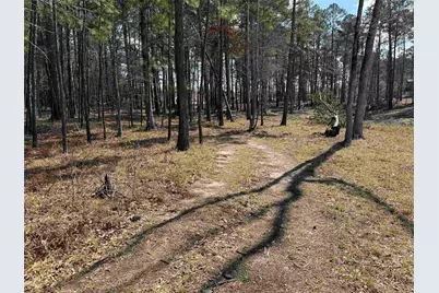 Tbd 024 Private Road 6028, Brookeland, TX 75931 - Photo 10