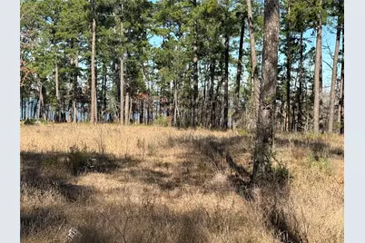 Tbd 024 Private Road 6028, Brookeland, TX 75931 - Photo 2