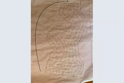 Tbd 024 Private Road 6028, Brookeland, TX 75931 - Photo 6