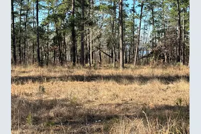 Tbd 024 Private Road 6028, Brookeland, TX 75931 - Photo 8