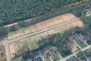 Lot 523 Indigo Way, Porter, TX 77365 - Photo 1