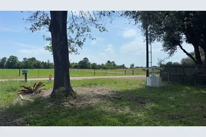 35206 Cattle Creek Road, Pine Island, TX 77445 - Photo 12