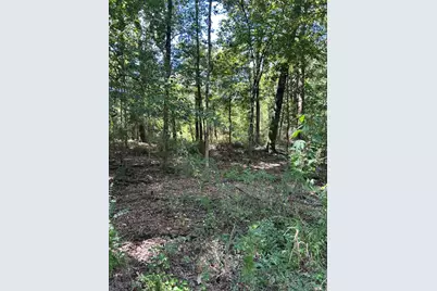 0 County Road 3812, Cleveland, TX 77327 - Photo 6