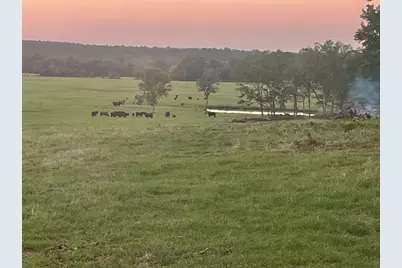 2 Highway 7 West, Crockett, TX 75835 - Photo 6