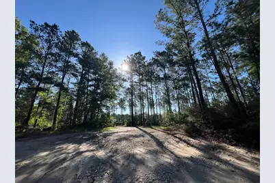 T-8 Fountain Creek Road, Groveton, TX 75845 - Photo 12