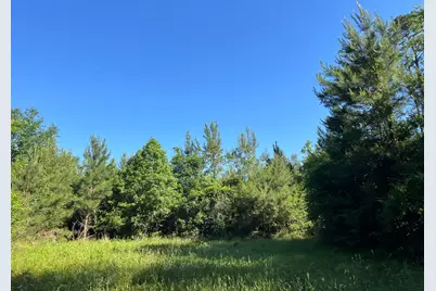 T-8 Fountain Creek Road, Groveton, TX 75845 - Photo 30