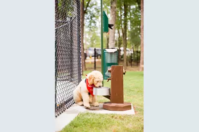 403 Venado View Court, Conroe, TX 77304 - Photo 32