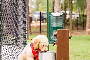 403 Venado View Court, Conroe, TX 77304 - Photo 32