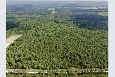 0 Scales Ranch Road, Huntsville, TX 77320 - Photo 12