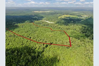 0 Scales Ranch Road, Huntsville, TX 77320 - Photo 6