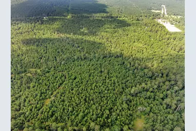 0 Scales Ranch Road, Huntsville, TX 77320 - Photo 18