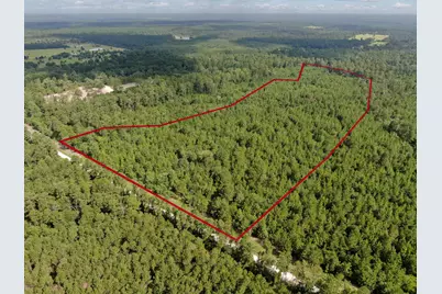 0 Scales Ranch Road, Huntsville, TX 77320 - Photo 4