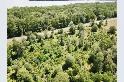 8.269+/- Acs Fm 92 S, Woodville, TX 75979 - Photo 8