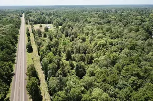 8 269+/- Acs Fm 92 S, Woodville, TX 75979 - Photo 1