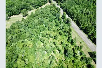 8.269+/- Acs Fm 92 S, Woodville, TX 75979 - Photo 6