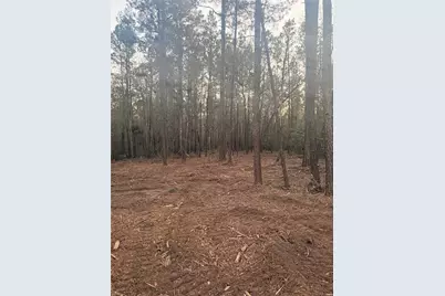 104 Coyote Run, New Waverly, TX 77358 - Photo 8