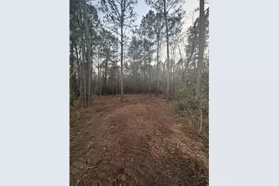 104 Coyote Run, New Waverly, TX 77358 - Photo 6