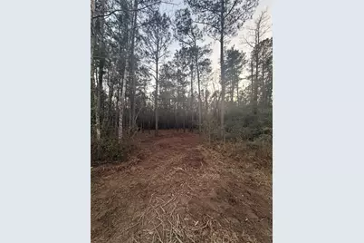 104 Coyote Run, New Waverly, TX 77358 - Photo 10