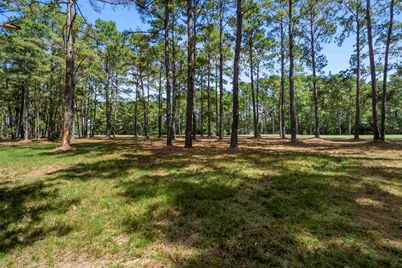 37432 Clubhouse Lane, Montgomery, TX 77355 - Photo 2