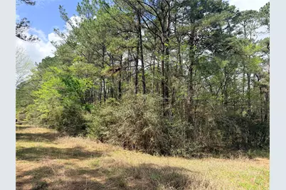 4341 & 4365 North Oaks, Navasota, TX 77868 - Photo 2