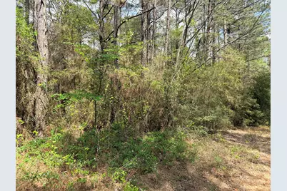 4341 & 4365 North Oaks, Navasota, TX 77868 - Photo 6