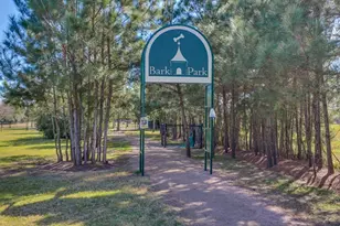 19902 Tidy Tips Ln, Spring, TX 77379 - Photo 38