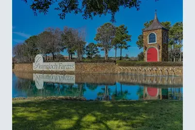 19902 Tidy Tips Lane, Spring, TX 77379 - Photo 38
