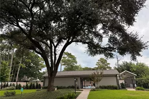 803 Thornbranch Dr, Houston, TX 77079 - Photo 4