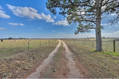 6921 Schulz Lane, Bleiblerville, TX 78931 - Photo 10