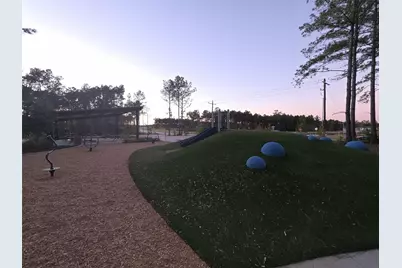 25344 Carnation Court, Montgomery, TX 77316 - Photo 18