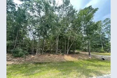 28171 Joseph Rd, Hockley, TX 77447 - Photo 6