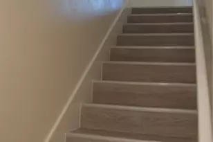 7827 Leonora St, Houston, TX 77061 - Photo 16