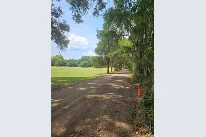 0 S Skains Chapel Road, Trinity, TX 75862 - Photo 2