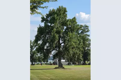 0 S Skains Chapel Road, Trinity, TX 75862 - Photo 6