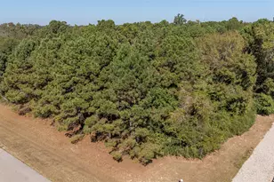 408 Trace Way Dr, Montgomery, TX 77316 - Photo 1