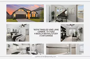 16014 Tangled Vine Ln, Conroe, TX 77302 - Photo 1