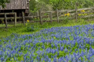 31026 Vintage Crk Ln, Fulshear, TX 77441 - Photo 36