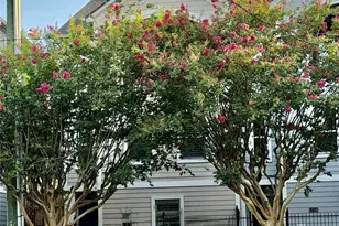 1708 Elgin St, Houston, TX 77004 - Photo 22