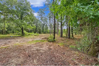 480 County Road 3188, Cleveland, TX 77327 - Photo 12