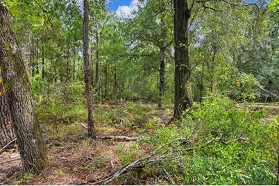 480 County Road 3188, Cleveland, TX 77327 - Photo 14