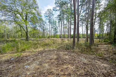 480 County Road 3188, Cleveland, TX 77327 - Photo 1