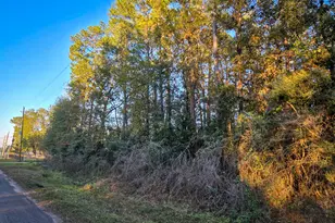 Tbd Holly Dr, New Caney, TX 77357 - Photo 2