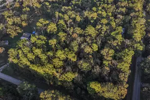 Tbd Holly Dr, New Caney, TX 77357 - Photo 6