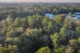 Tbd Holly Dr, New Caney, TX 77357 - Photo 18