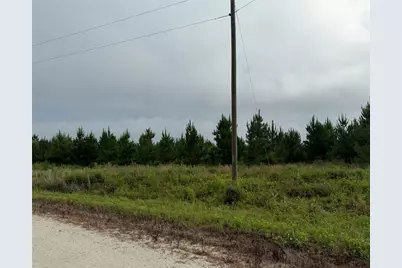 162 Taylor Trail, Lovelady, TX 75851 - Photo 4