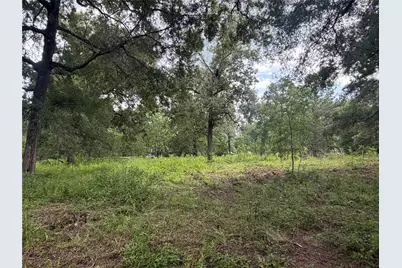 0 County Road 6502 W, Dayton, TX 77535 - Photo 2