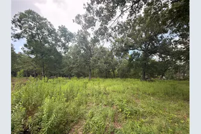 0 County Road 6502 W, Dayton, TX 77535 - Photo 1